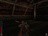 sp101176344557328.jpg