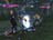sp101235077157223.jpg