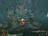 ysthearkof165879.jpg