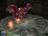 ysthearkof165879.jpg