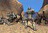 starshiptr135264.jpg