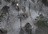 combatelit122195.jpg