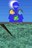 lostinblue182397.jpg