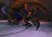 crashofthe240319.jpg