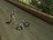 procycling274331.jpg