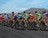 procycling274331.jpg