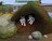 zootycoon2282987.jpg