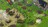 bbcbattlef306448.jpg