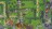 bbcbattlef306448.jpg