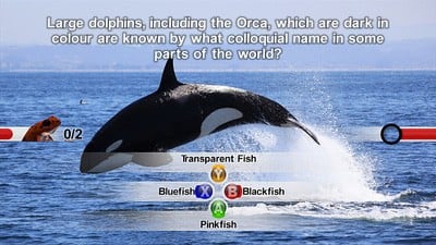natgeoquiz319846.jpg