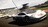 racedriver320885.jpg