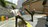 kungfuride328203.jpg