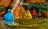 sesamestre344029.jpg
