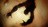 sp101339818385584.jpg