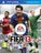 fifa13370249.jpg