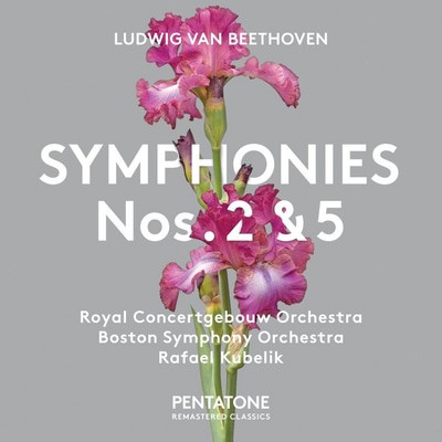 Ludwig van Beethoven - Ludwig Van Beethoven: Symphonies Nos. 2 & 5 CD Album - Used