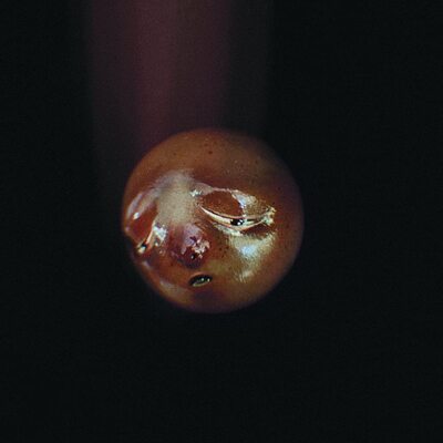 MUS000735581.jpg