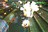 milleniums8953.jpg