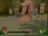 sp1011607840611.jpg