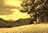 sp10116194401784.jpg