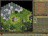 ageofwonde20442.jpg