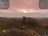 sp101172642953356.jpg