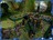 battleisle15459.jpg