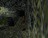 sp1011766429806.jpg