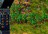 settlers3g34092.jpg