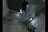 sp1011902829282.jpg