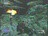 sp101194904052791.jpg