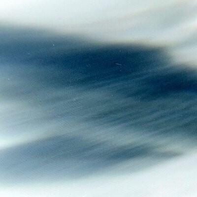 MUS000652078.jpg