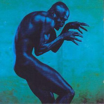 Seal - Human Being CD Album - Used