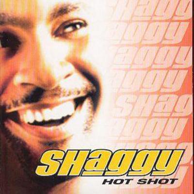 Hot Shot CD Album - Used