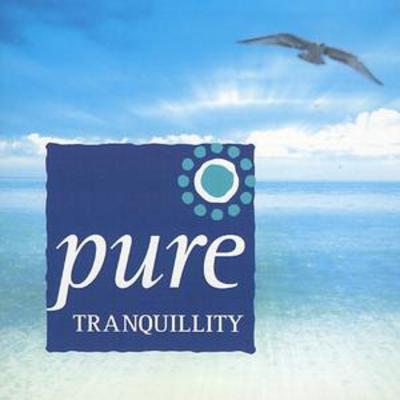 Stephen Rhodes - Pure Tranquillity CD Album - Used