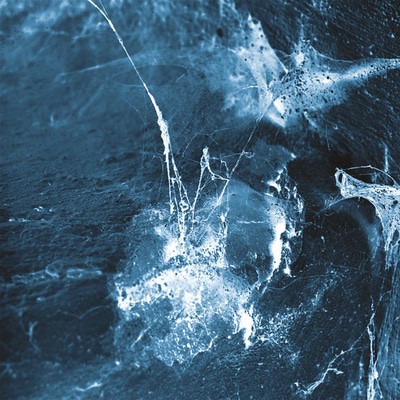 MUS000538918.jpg