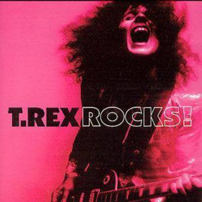 T.Rex - T.Rex Rocks CD Album - Used