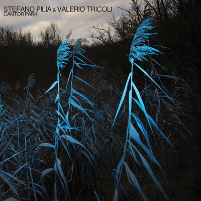 MUS000756090.jpg
