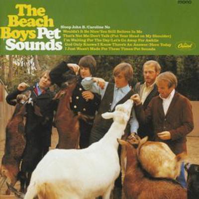 The Beach Boys - Pet Sounds: Mono Version CD Album - Used