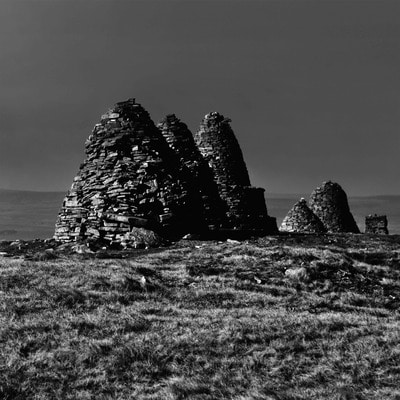 MUS000758175.jpg