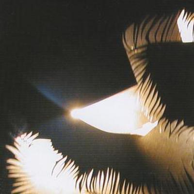 mus000186712.jpg