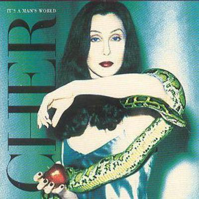 Cher - It's a Man's World CD Album - Used