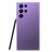 UI000000041969__Purple__1.jpg