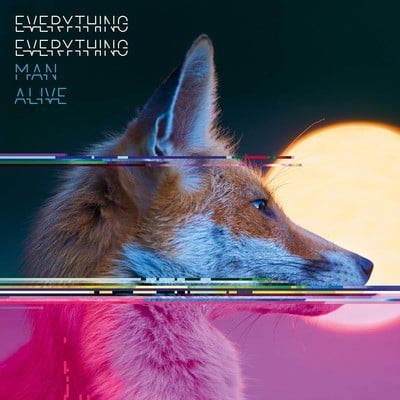 Everything Everything - Man Alive CD Album - Used