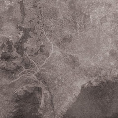 mus000455865.jpg