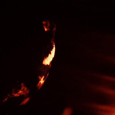 MUS000570875.jpg