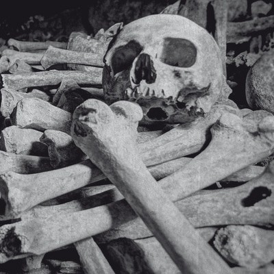MUS000536360.jpg