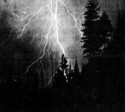 MUS000519227.jpg