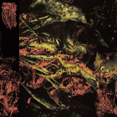 MUS000571086.jpg