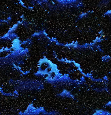 mus000403937.jpg